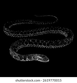 Kirtland’s snake hand drawing vector isolated on black background.