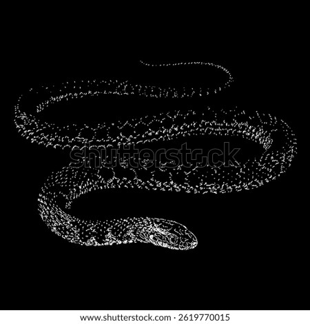 Kirtland’s snake hand drawing vector isolated on black background.