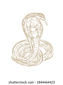 Snake Hand Drawn Sketch Vector Illustration 