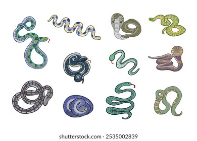 Snake hand drawn vector illustartions set