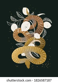 Snake hand drawn vector illustration with grunge texture for poster, t-shirt, book cover. Serpent print. Mystical poster a snake wrapped around a citrus tree.