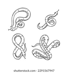 snake handrawn doodle illustrations vector set