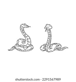 snake handrawn doodle illustrations vector set