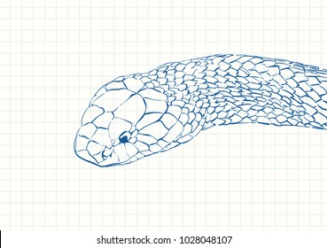 Snake head, Blue pen sketch on square grid notebook page, Hand drawn vector linear illustration