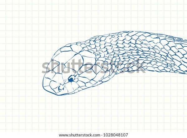 Snake Head Blue Pen Sketch On Stock Vector (Royalty Free) 1028048107