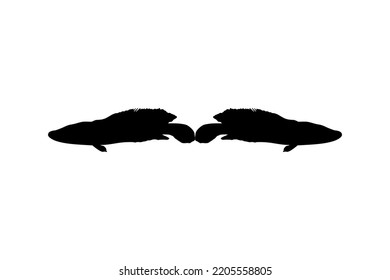 Snake Head Fish (freshwater perciform fish family Channidae) Silhouette for Logo, Pictogram or Graphic Design Element. Vector Illustration 