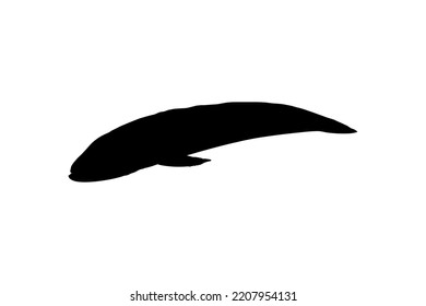 Snake Head Fish (freshwater perciform fish family Channidae) Silhouette for Logo, Pictogram or Graphic Design Element. Vector Illustration 