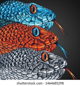 snake head illustration art vector