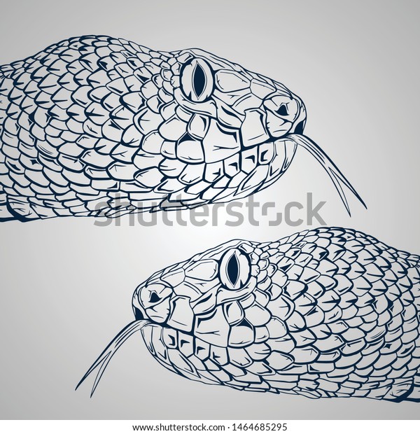 Drawing Snake Head Illustration - Download Illustration 2020