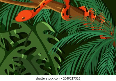 Snake hidden in the jungle illustration