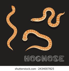 Snake Hognose Cartoon Vector Illustration