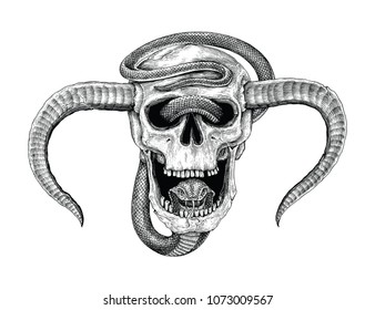 Snake Head Images, Stock Photos & Vectors | Shutterstock