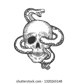 Snake Human Skull Sketch Engraving Vector Stock Vector (Royalty Free ...