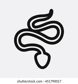 Snake icon illustration isolated vector sign symbol