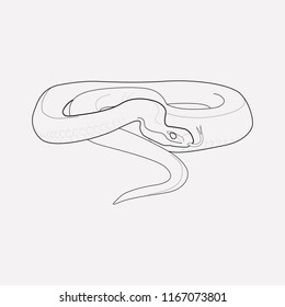 Snake icon line element. Vector illustration of snake icon line isolated on clean background for your web mobile app logo design.