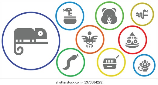 snake icon set. 9 filled snake icons.  Simple modern icons about  - Chameleon, Snake, Hamster, Pet, Caduceus, Toad