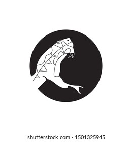 Snake icon and symbol vector illustration