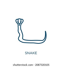snake icon. Thin linear snake outline icon isolated on white background. Line vector snake sign, symbol for web and mobile
