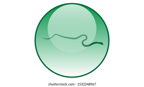 Snake icon vector design. Reptiles icons