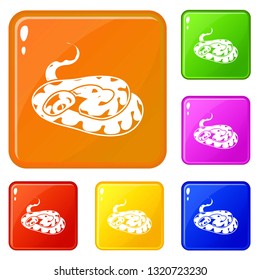 Snake icons set collection vector 6 color isolated on white background