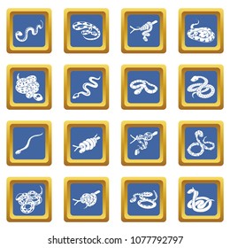 Snake icons set vector blue square isolated on white background 