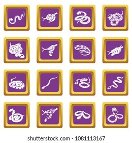 Snake icons set vector purple square isolated on white background 