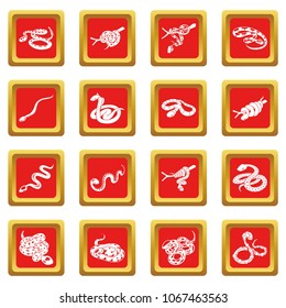 Snake icons set vector red square isolated on white background 