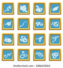 Snake icons set vector sapphirine square isolated on white background 