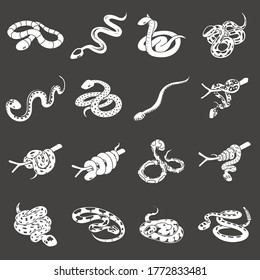 Snake icons set vector white isolated on grey background