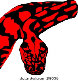 snake illustration
