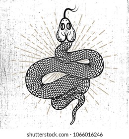 Snake illustration on grunge background. Design element for poster, card, emblem, logo, sign, t shirt. Vector illustration