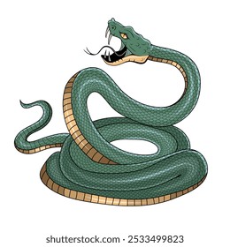 Snake illustration. Tattoo elements of snake skin. Vector illustration sketch of a traditional Chinese mythical animal. Green snake