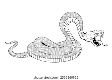 Snake illustration. Tattoo elements of snake skin. Vector illustration sketch of a traditional Chinese mythical animal. Green snake