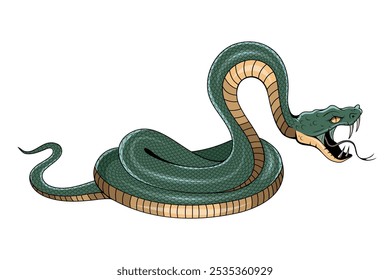 Snake illustration. Tattoo elements of snake skin. Vector illustration sketch of a traditional Chinese mythical animal. Green snake