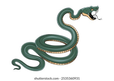 Snake illustration. Tattoo elements of snake skin. Vector illustration sketch of a traditional Chinese mythical animal. Green snake