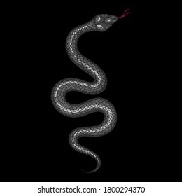 Snake illustration. Vector illustration. Hand drawn illustration for t-shirt print, fabric and other uses