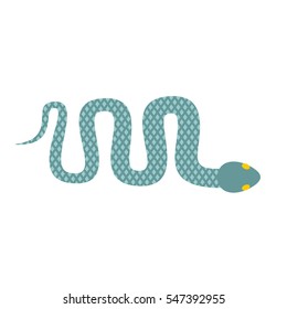 Snake isolated. Cobra crawling on white background. Long poison Reptile
