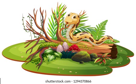 Snake in isolated nature illustration