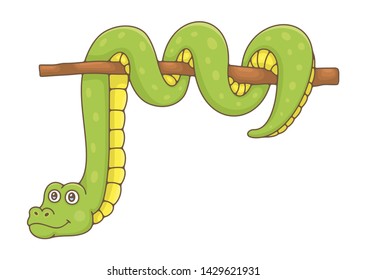 Snake. isolated on white background