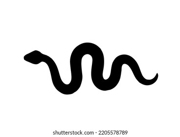 Snake, Isolated on white background
