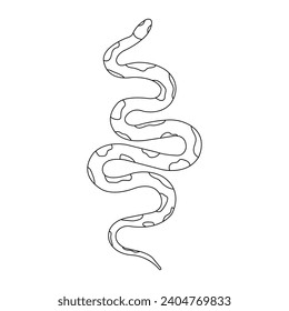 Serpiente. Serpiente aislada sobre fondo blanco.