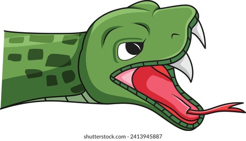 Snake isolated on white background