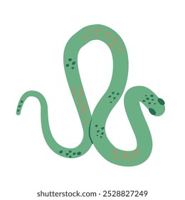 Serpiente aislada sobre fondo blanco. Vector dibujado a mano ilustración