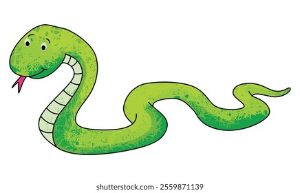 Snake isolated on white background