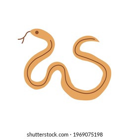 Snake isolated on white. Snakes elongated, legless, carnivorous reptiles. Wild West theme. Hand drawn colored trendy Vector isolated illustration.  Wildlife concept. 