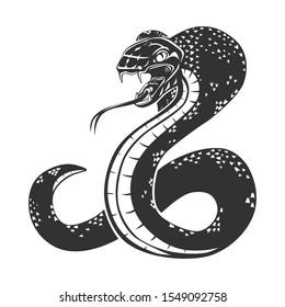 Snake isolated on white. Vector illustration.