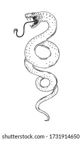 Snake isolated on white. Vector illustration.