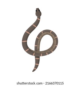 snake isolated style icon flat