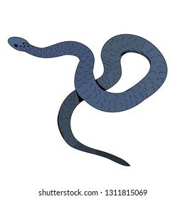 snake in isolation, vector