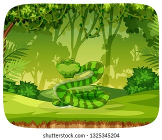 A snake in jungle illustration